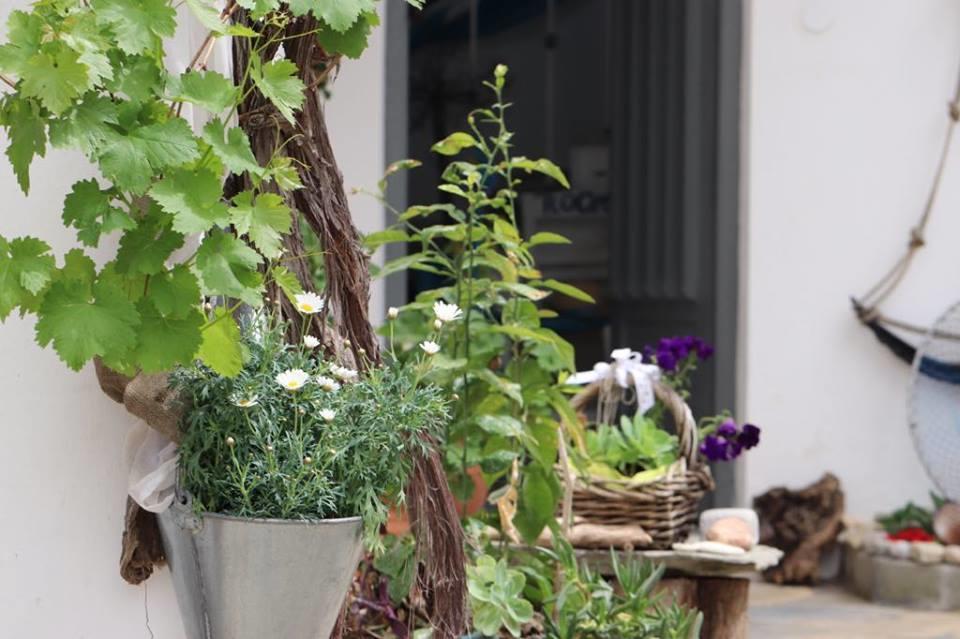 Athina Studios ซอร์โต ภายนอก รูปภาพ